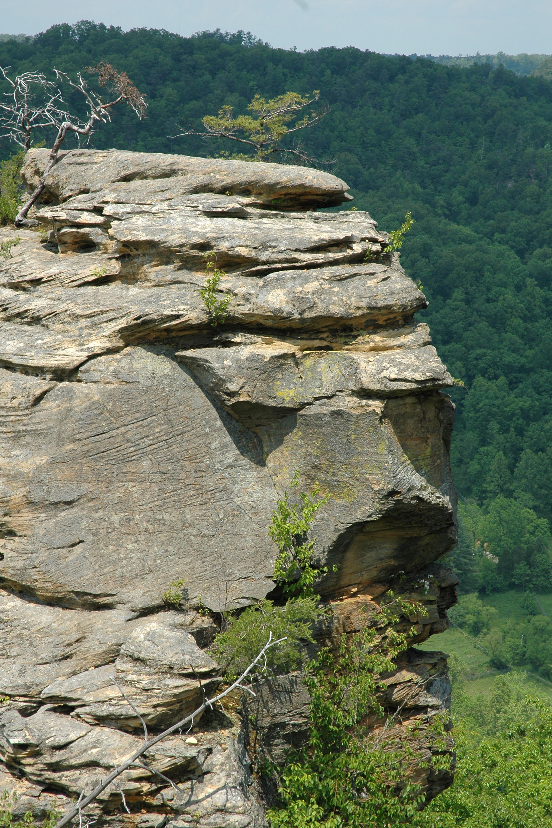 Cliff